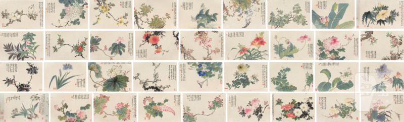 潘祖恩画、赵藩题（清） 写生花卉册
